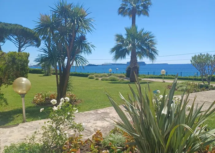 アパート Vue Panoramique Chateau De La *